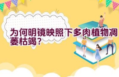 为何明镜映照下多肉植物凋萎枯竭？