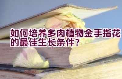 “如何培养多肉植物金手指花的最佳生长条件？”