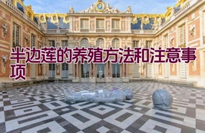 半边莲的养殖方法和注意事项