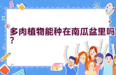 多肉植物能种在南瓜盆里吗？