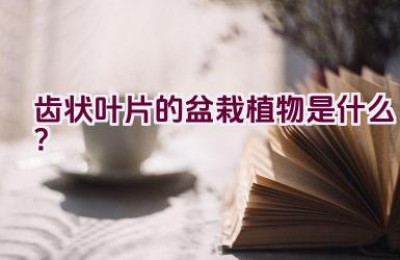 齿状叶片的盆栽植物是什么？