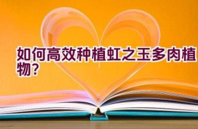 如何高效种植虹之玉多肉植物？