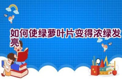 如何使绿萝叶片变得浓绿发亮