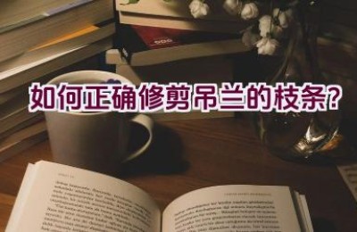 如何正确修剪吊兰的枝条？