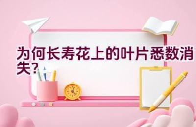 为何长寿花上的叶片悉数消失？