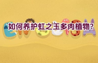 如何养护虹之玉多肉植物？