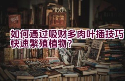 “如何通过吸财多肉叶插技巧快速繁殖植物？”