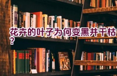 花卉的叶子为何变黑并干枯？
