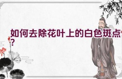 如何去除花叶上的白色斑点？