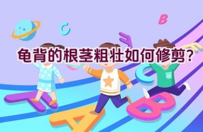 龟背的根茎粗壮如何修剪？