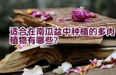 适合在南瓜盆中种植的多肉植物有哪些？