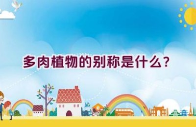 多肉植物的别称是什么？