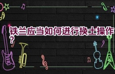 铁兰应当如何进行换土操作？