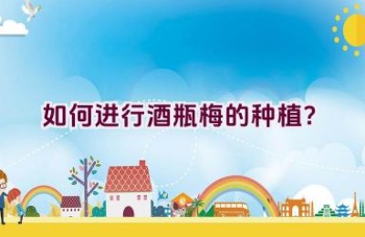 如何进行酒瓶梅的种植？