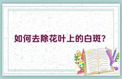 如何去除花叶上的白斑？