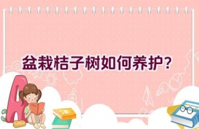 盆栽桔子树如何养护？