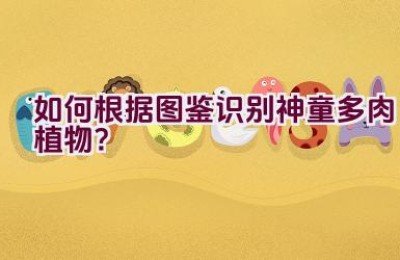 如何根据图鉴识别神童多肉植物？