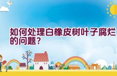 如何处理白橡皮树叶子腐烂的问题？