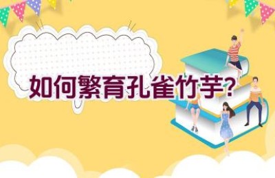 如何繁育孔雀竹芋？