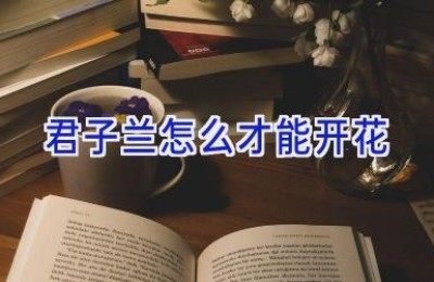 君子兰怎么才能开花
