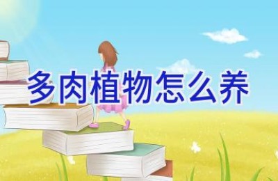 多肉植物怎么养