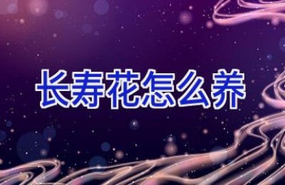 长寿花怎么养
