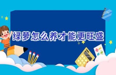 绿萝怎么养才能更旺盛