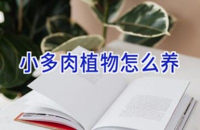 小多肉植物怎么养