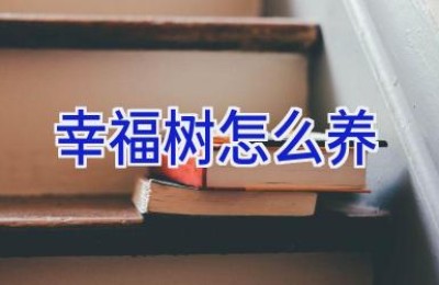 幸福树怎么养