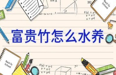 富贵竹怎么水养