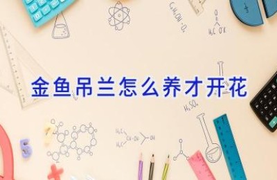 金鱼吊兰怎么养才开花