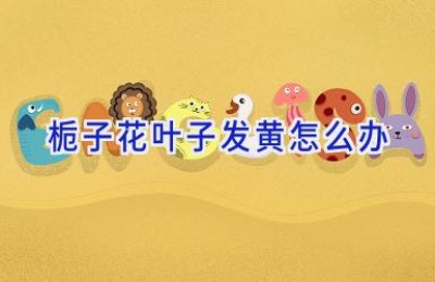 栀子花叶子发黄怎么办