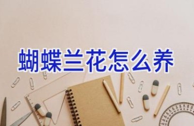 蝴蝶兰花怎么养