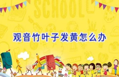 观音竹叶子发黄怎么办