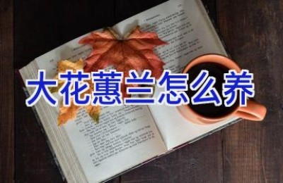 大花蕙兰怎么养