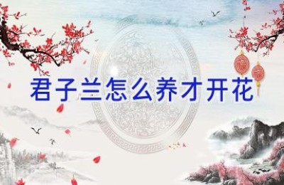 君子兰怎么养才开花