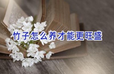 竹子怎么养才能更旺盛