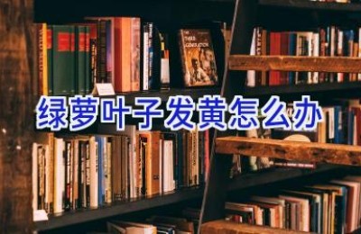 绿萝叶子发黄怎么办