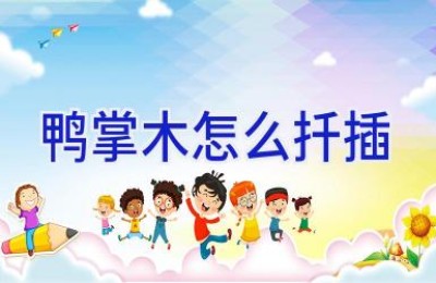 鸭掌木怎么扦插