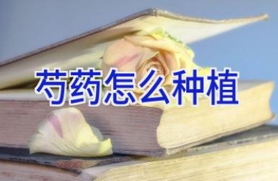 芍药怎么种植
