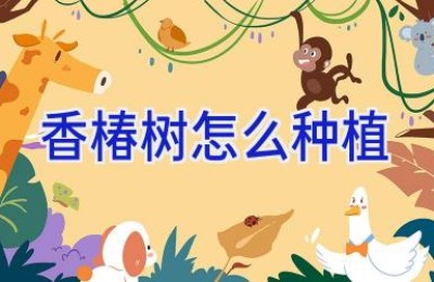 香椿树怎么种植
