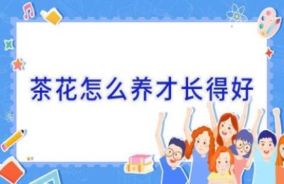 茶花怎么养才长得好