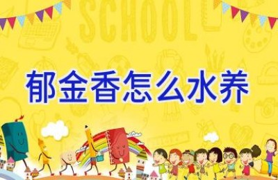 郁金香怎么水养