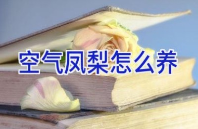 空气凤梨怎么养