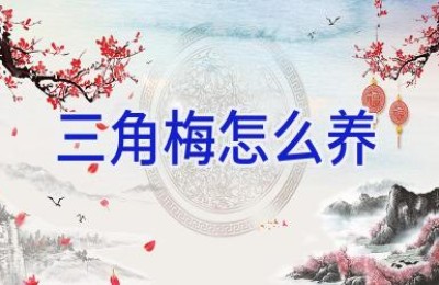 三角梅怎么养