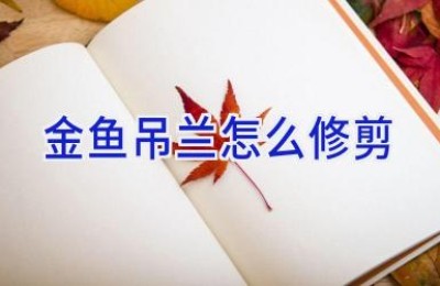 金鱼吊兰怎么修剪