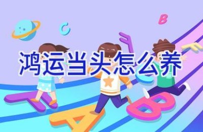 鸿运当头怎么养