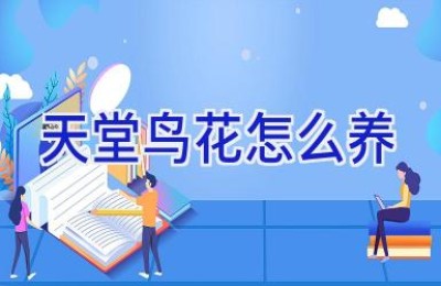 天堂鸟花怎么养