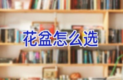 花盆怎么选