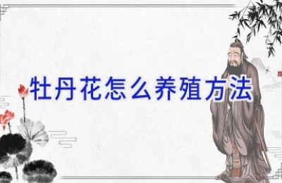 牡丹花怎么养殖方法